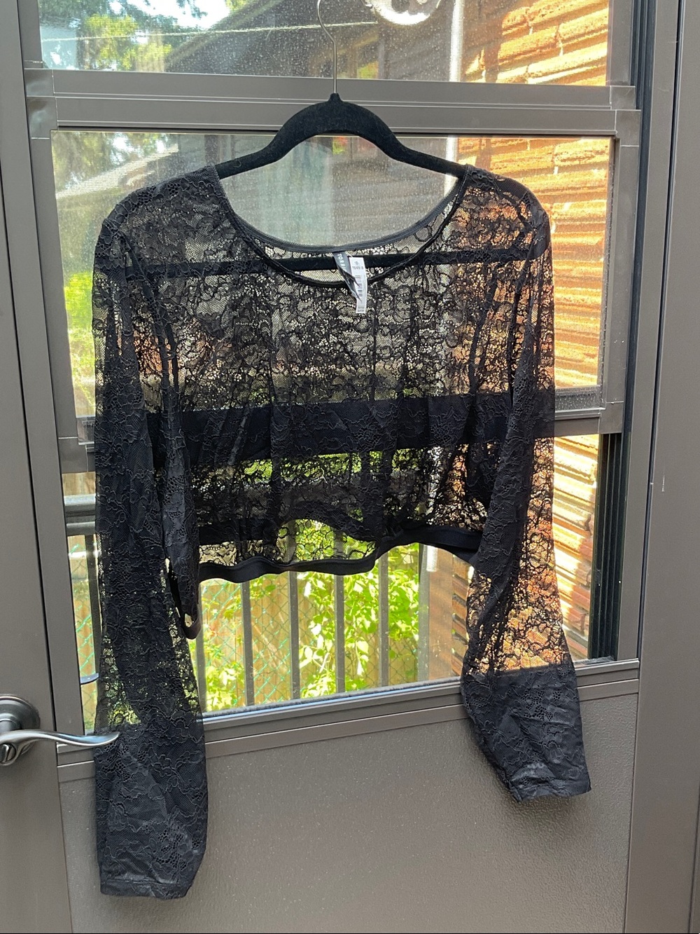 Sheer Black Lace Long-Sleeve Crop Chemise Top